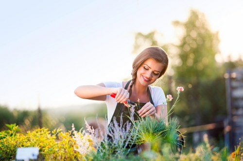 Gardener inspecting tools and plan in a suburban garden