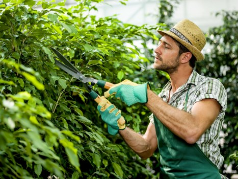 Workers sorting garden waste into labeled collection bins at a local property